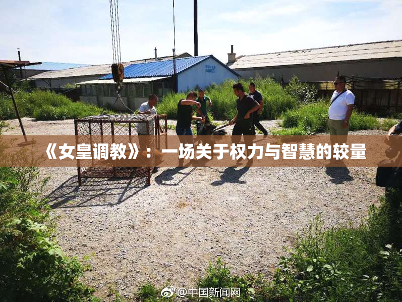 《女皇调教》：一场关于权力与智慧的较量