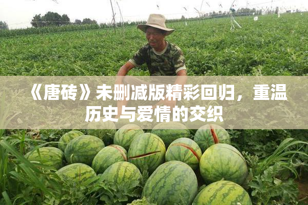 《唐砖》未删减版精彩回归，重温历史与爱情的交织