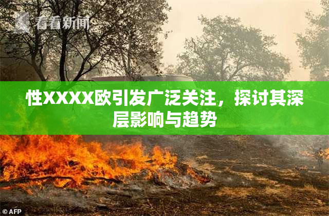 性XXXX欧引发广泛关注，探讨其深层影响与趋势
