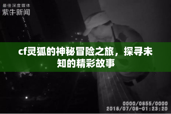 cf灵狐的神秘冒险之旅，探寻未知的精彩故事