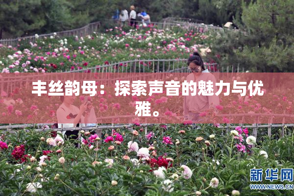 丰丝韵母：探索声音的魅力与优雅。