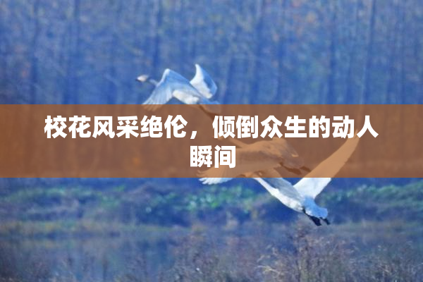 校花风采绝伦，倾倒众生的动人瞬间