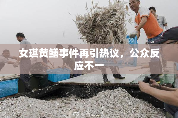 女琪黄鳝事件再引热议，公众反应不一