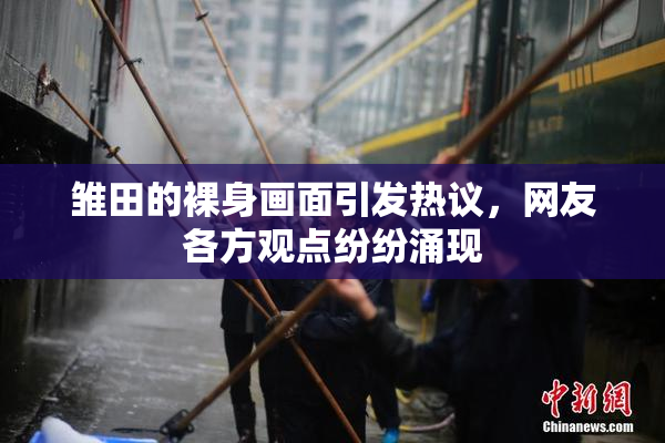 雏田的裸身画面引发热议，网友各方观点纷纷涌现