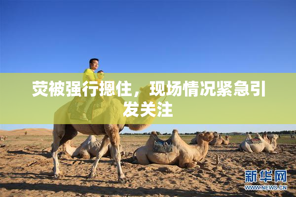 荧被强行摁住，现场情况紧急引发关注