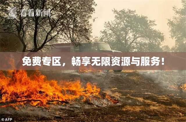 免费专区，畅享无限资源与服务！