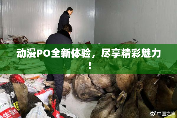 动漫PO全新体验，尽享精彩魅力！