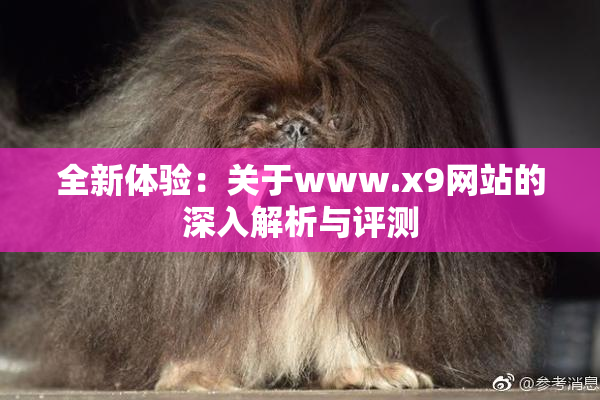 全新体验：关于www.x9网站的深入解析与评测
