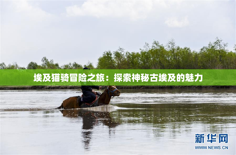 埃及猫骑冒险之旅：探索神秘古埃及的魅力