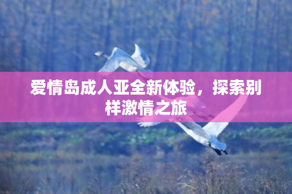 爱情岛成人亚全新体验，探索别样激情之旅