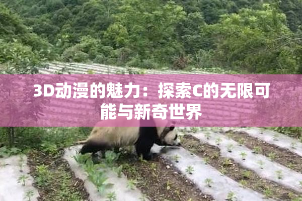3D动漫的魅力：探索C的无限可能与新奇世界