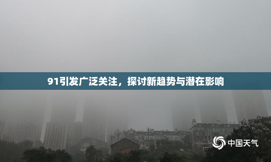 91引发广泛关注，探讨新趋势与潜在影响