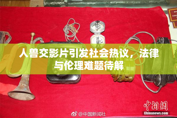 人兽交影片引发社会热议，法律与伦理难题待解