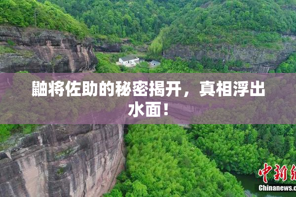 鼬将佐助的秘密揭开，真相浮出水面！