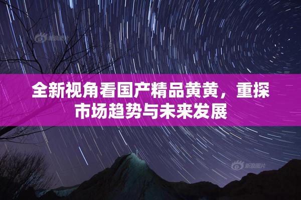 全新视角看国产精品黄黄，重探市场趋势与未来发展