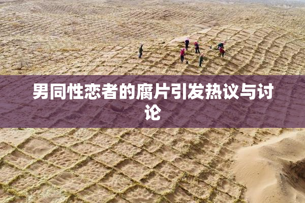 男同性恋者的腐片引发热议与讨论
