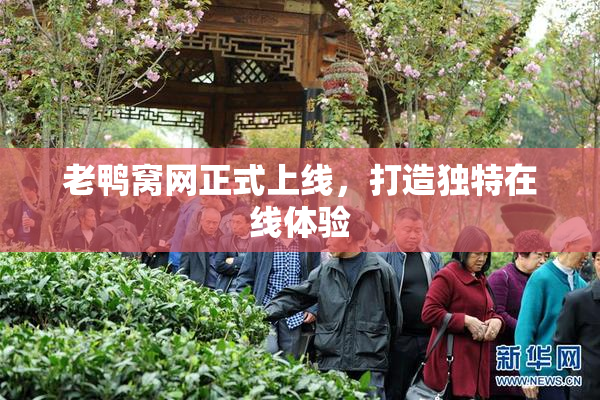 老鸭窝网正式上线，打造独特在线体验