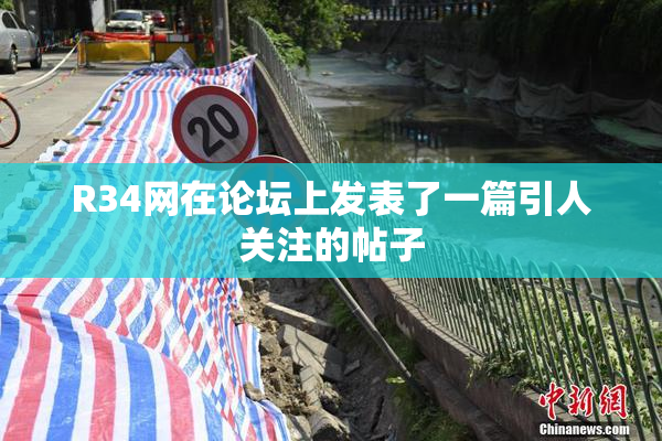 R34网在论坛上发表了一篇引人关注的帖子