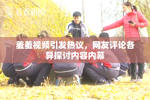 羞羞视频引发热议，网友评论各异探讨内容内幕