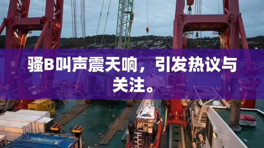骚B叫声震天响，引发热议与关注。