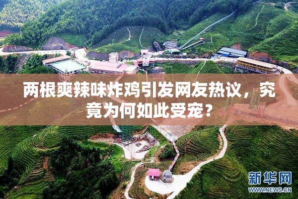 两根爽辣味炸鸡引发网友热议，究竟为何如此受宠？