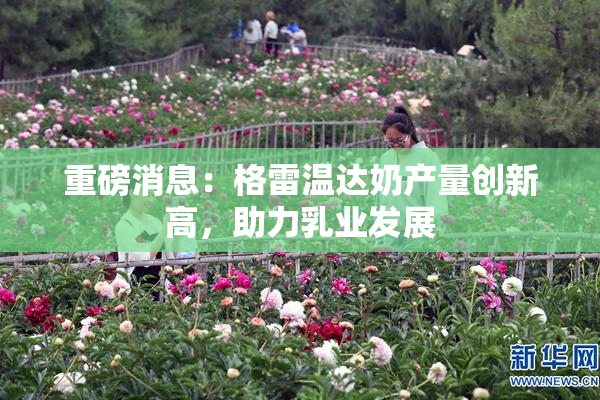 重磅消息：格雷温达奶产量创新高，助力乳业发展