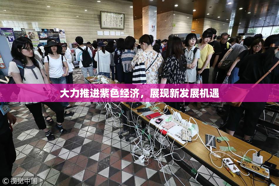 大力推进紫色经济，展现新发展机遇