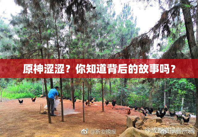原神涩涩？你知道背后的故事吗？