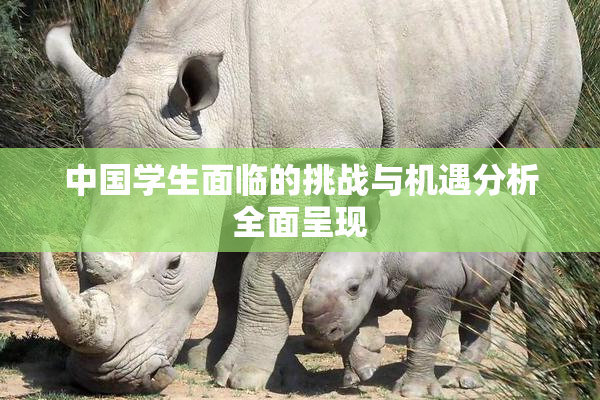中国学生面临的挑战与机遇分析全面呈现