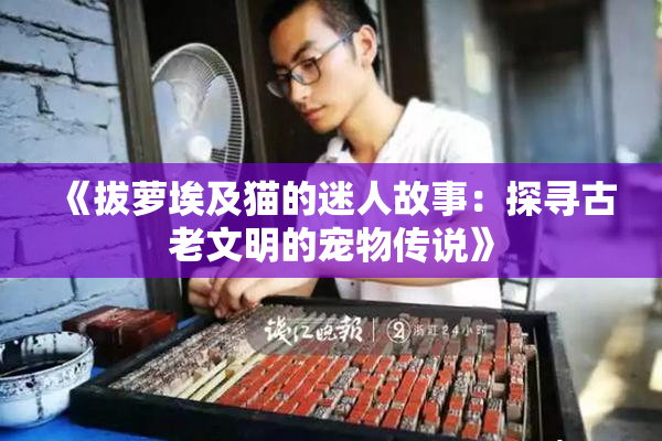《拔萝埃及猫的迷人故事：探寻古老文明的宠物传说》