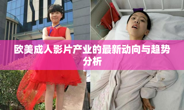 欧美成人影片产业的最新动向与趋势分析