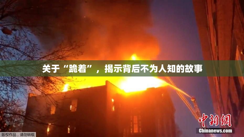 关于“跪着”，揭示背后不为人知的故事