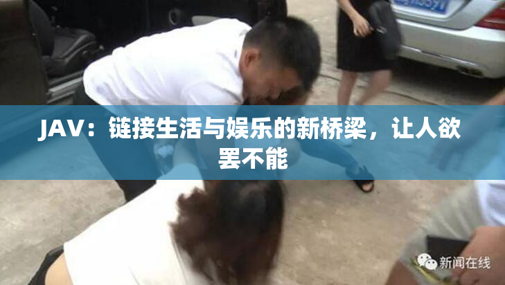 JAV：链接生活与娱乐的新桥梁，让人欲罢不能