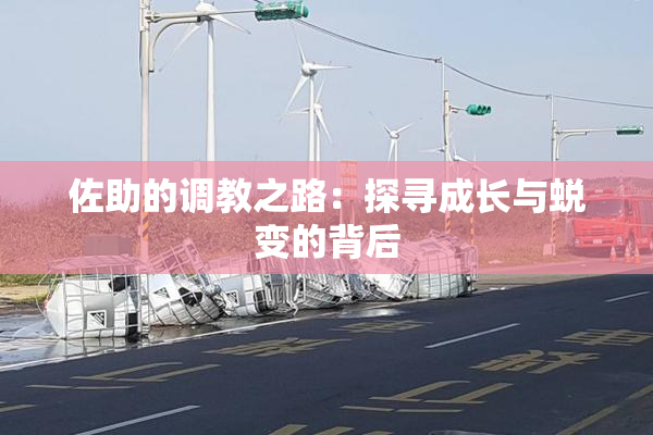 佐助的调教之路：探寻成长与蜕变的背后