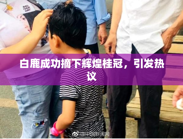 白鹿成功摘下辉煌桂冠，引发热议