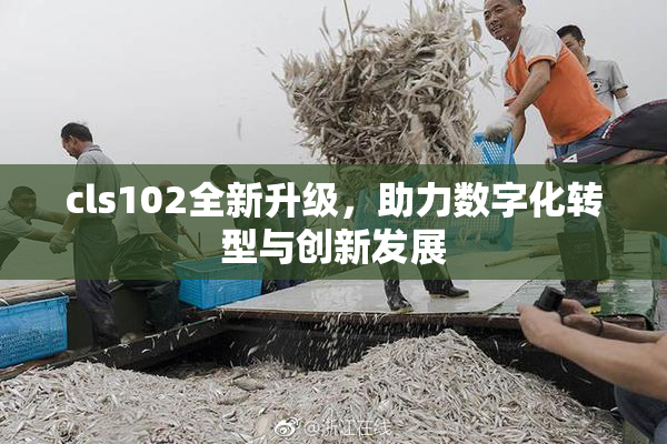 cls102全新升级，助力数字化转型与创新发展