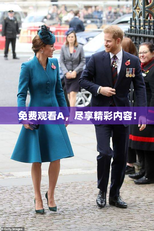 免费观看A，尽享精彩内容！