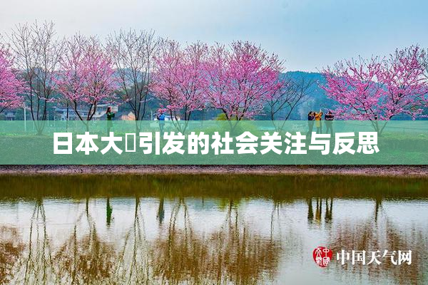 日本大隂引发的社会关注与反思