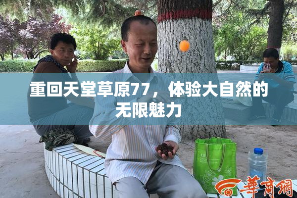 重回天堂草原77，体验大自然的无限魅力
