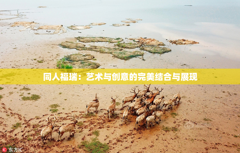 同人福瑞：艺术与创意的完美结合与展现