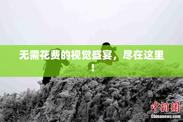 无需花费的视觉盛宴，尽在这里！