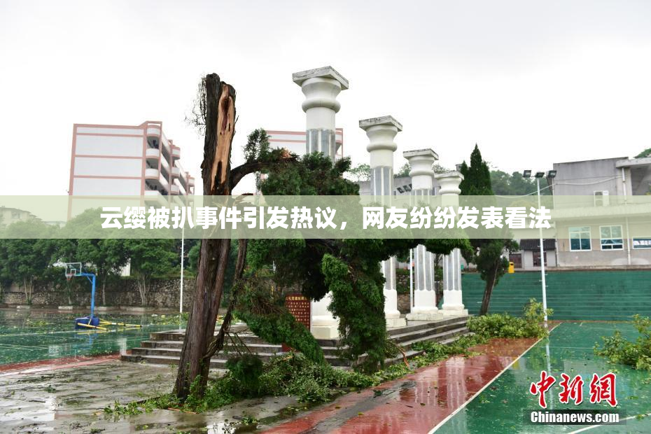 云缨被扒事件引发热议，网友纷纷发表看法