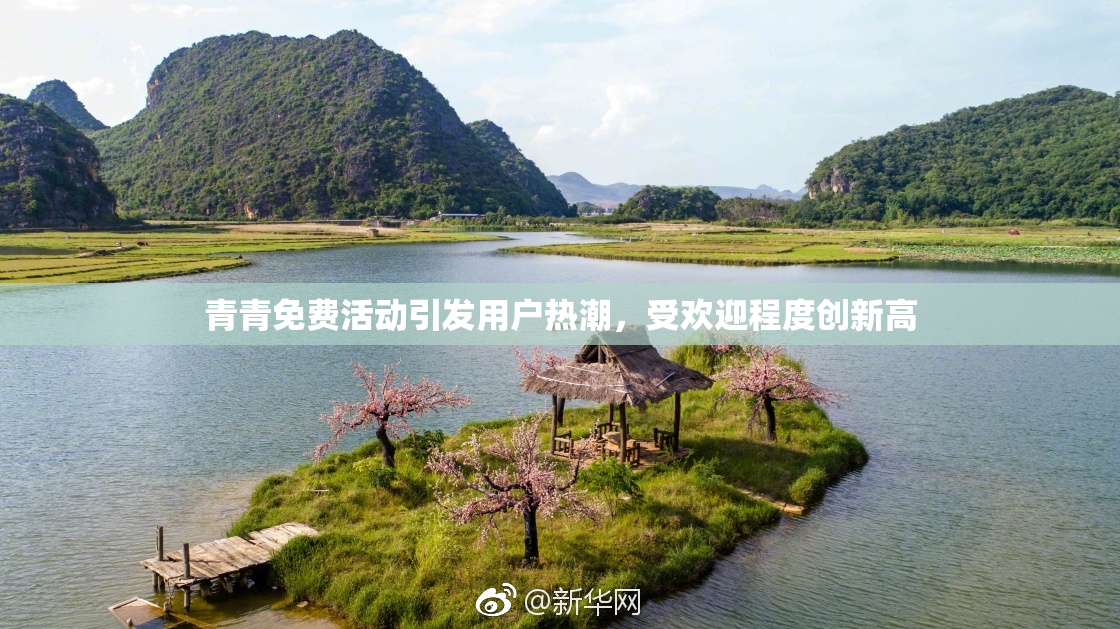 青青免费活动引发用户热潮，受欢迎程度创新高