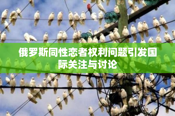 俄罗斯同性恋者权利问题引发国际关注与讨论