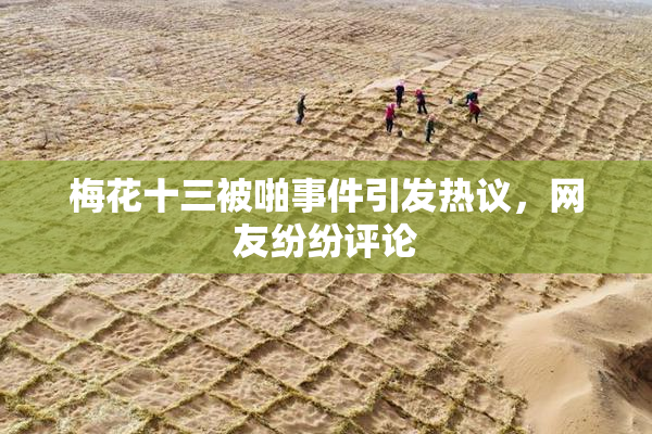梅花十三被啪事件引发热议，网友纷纷评论