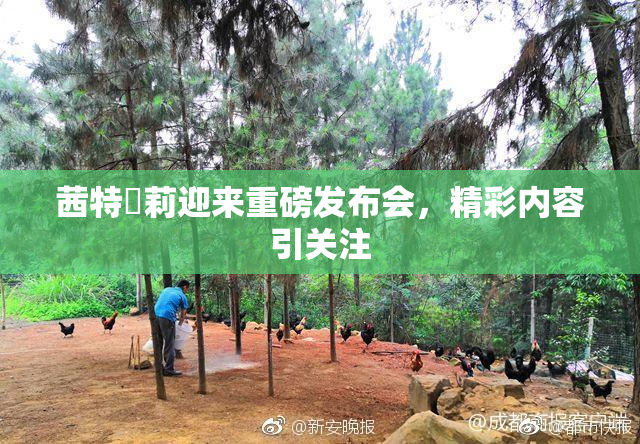 茜特菈莉迎来重磅发布会，精彩内容引关注