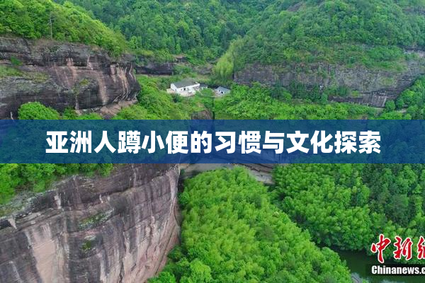 亚洲人蹲小便的习惯与文化探索