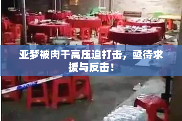 亚梦被肉干高压迫打击，亟待求援与反击！