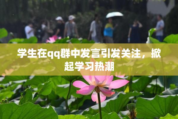 学生在qq群中发言引发关注，掀起学习热潮
