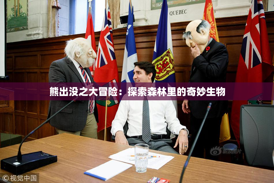 熊出没之大冒险：探索森林里的奇妙生物